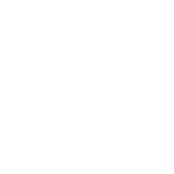 Icon showing a heart with an electrocardiogram (ECG) tracing running through it